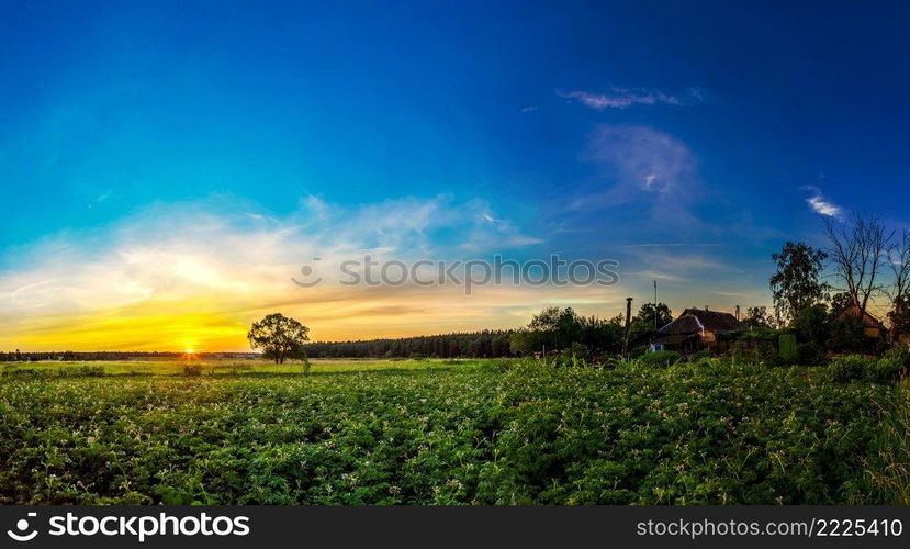 Morning countryside landscape. Beautiful sunrise over garden in a summer morning