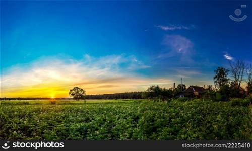 Morning countryside landscape. Beautiful sunrise over garden in a summer morning