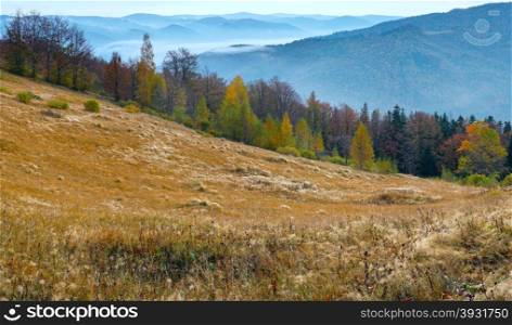 Morning dew on morning fall mountainside (Carpathian, Ukraine)