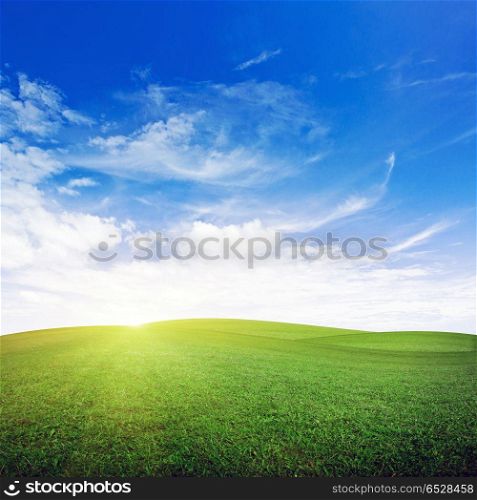 Morning field nature background. Morning field. Summer good weather nature background. Morning field nature background