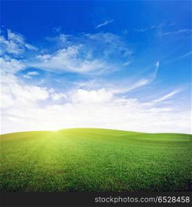Morning field nature background. Morning field. Summer good weather nature background. Morning field nature background