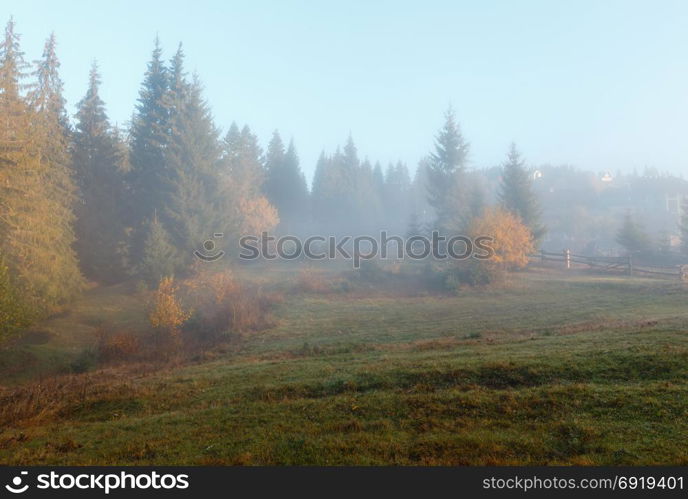 Morning fog. Autumn country landscape (Carpathians, Ukraine).