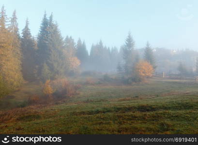 Morning fog. Autumn country landscape (Carpathians, Ukraine).