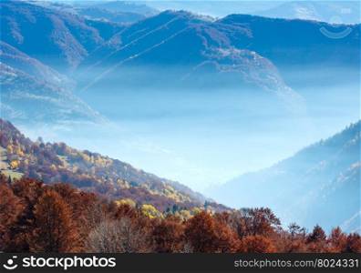 Morning fog in autumn Carpathian and colorful forest on slope.
