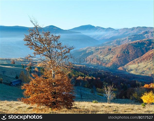 Morning fog in autumn Carpathian. Mountain country landscape with colorful forest on slope.