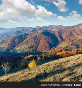 Morning fog in autumn Carpathian. Mountain landscape with colorful trees on slope.
