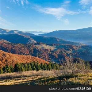 Morning fog in autumn Carpathian. Mountain top daybreak landscape with colorful trees on slope.