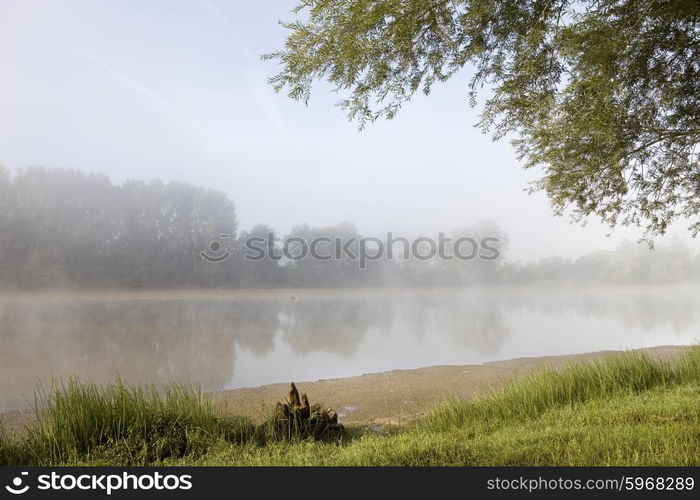 morning fog in loire river, france