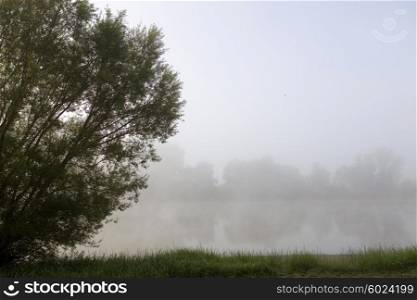 morning fog in loire river, france