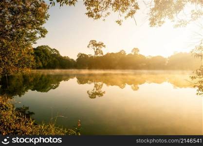 Morning fog lifts off a lake state sunrise on a cool September morning, beauty Autumnal landscape with threes on a coast