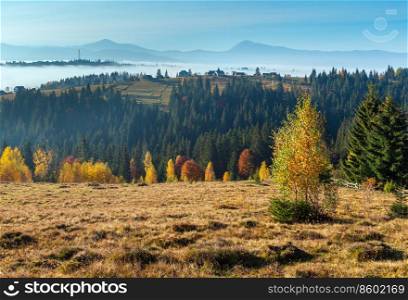 Morning fog on the autumn slopes of Carpathian Mountains  Yablunytsia village, Ivano-Frankivsk oblast, Ukraine .