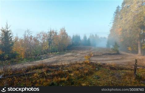 Morning fog on the slopes of the Carpathian Mountains and rural road (Ivano-Frankivsk oblast, Ukraine).