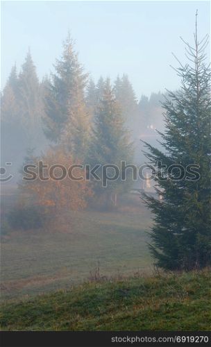 Morning fog on the slopes of the Carpathian Mountains (Ivano-Frankivsk oblast, Ukraine).