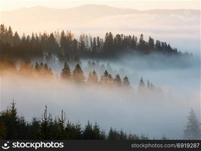 Morning fog on the slopes of the Carpathian Mountains (Ivano-Frankivsk oblast, Ukraine).