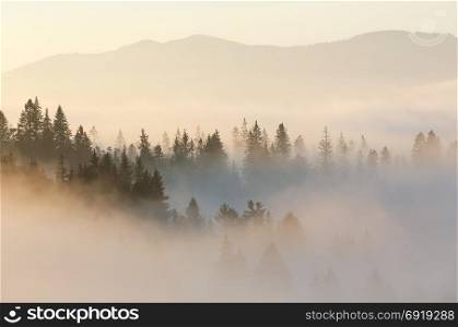Morning fog on the slopes of the Carpathian Mountains (Ivano-Frankivsk oblast, Ukraine). View on Chornohora.