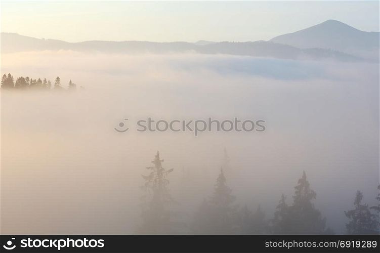 Morning fog on the slopes of the Carpathian Mountains (Ivano-Frankivsk oblast, Ukraine). View on Chornohora.