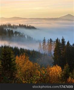 Morning fog on the slopes of the Carpathian Mountains, Ukraine.