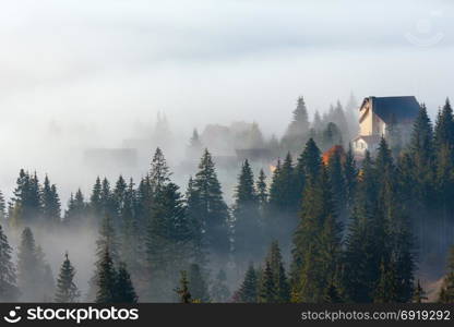 Morning fog on the slopes of the Carpathian Mountains (Yablunytsia village, Ivano-Frankivsk oblast, Ukraine).