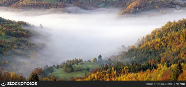 Morning foggy clouds in autumn mountain countryside. Ukraine, Carpathian Mountains, Transcarpathia. Peaceful picturesque traveling, seasonal, nature and countryside beauty concept scene.