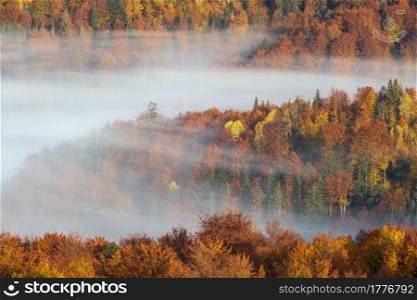 Morning foggy clouds in autumn mountain countryside. Ukraine, Carpathian Mountains, Transcarpathia. Picturesque seasonal, nature and countryside beauty concept and background scene.
