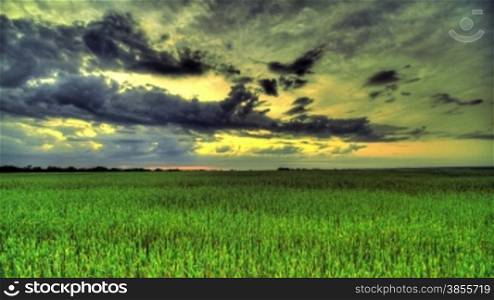 Morning In A Wheat Field. HDR Time Lapse