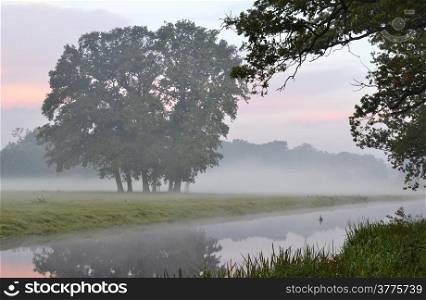 Morning mist at estate Duivenvoorde in Voorschoten, The Netherlands.