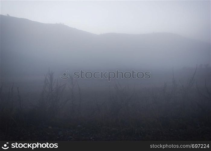 Morning mist in early morning in field