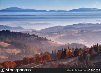 Morning mist in mountains. Sunrise and autumn mist over the hills. Ukraine Carpathians