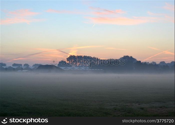 Morning mist on the farmlands in Voorschoten, The Netherlands.
