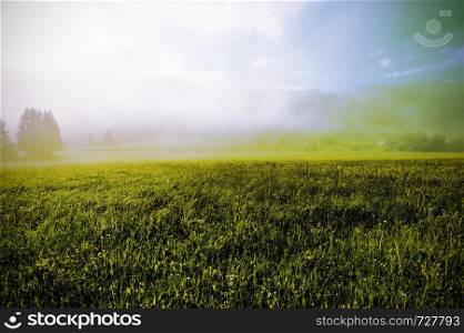 Morning mist over the Austrian landscape with forests, fields, pastures and meadows. Vintage style