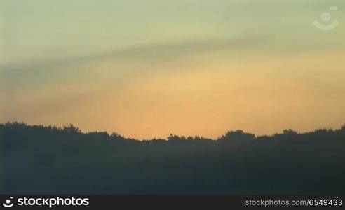 morning mist over the forest