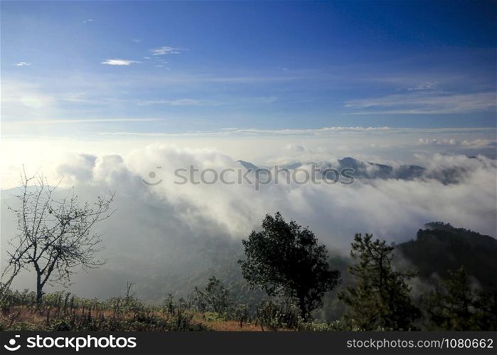 Morning Mist with Mountain View