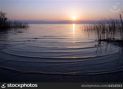 Morning on the lake Kinneret, Israel
