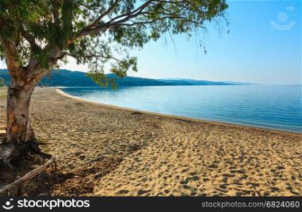 Morning sandy Kastri beach summer view (Nikiti, Sithonia, Halkidiki, Greece).