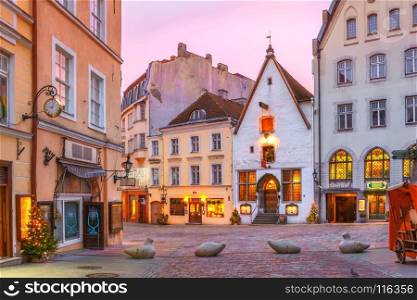 Morning street in the Old Town, Tallinn, Estonia. Morning decorated and illuminated Christmas street in Old Town of Tallinn at sunrise, Estonia
