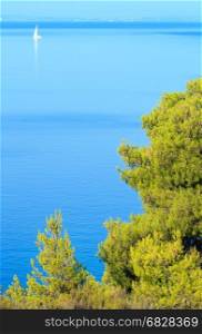 Morning summer Aegean Sea coastline (Nikiti, Sithonia, Halkidiki, Greece).