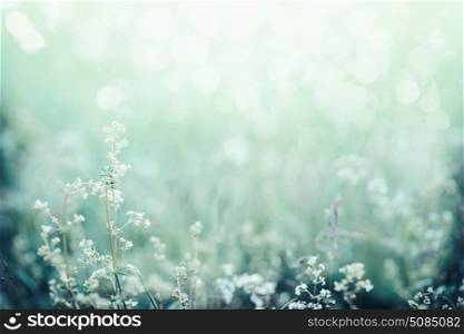 Morning sunlight on grass and flowers field. Beautiful nature landscape background