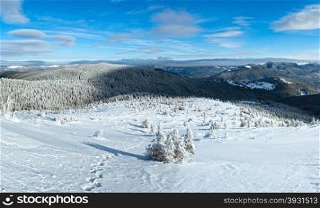 Morning sunny winter mountain view (Carpathian, Ukraine).