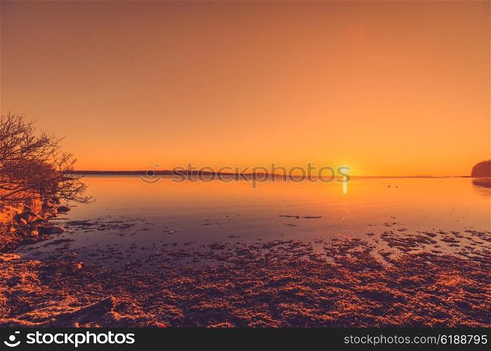 Morning sunrise at a lake with seaweed on the shore