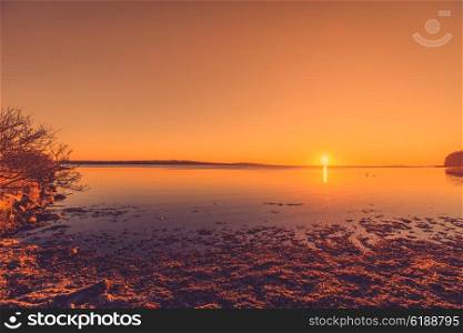 Morning sunrise at a lake with seaweed on the shore