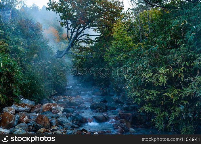 Morning view of the creek in Tamagawa Hot Spring with stream flow over the area in autumn season . Tamagawa hot pring is in Towada Hachimantai National Park, Akita Prefecture, Japan.