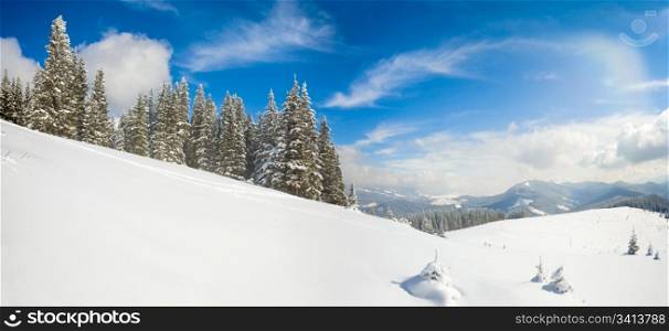 Morning winter calm mountain landscape with beautiful fir trees on slope (Carpathian Mountains, Ukraine). Two shots stitch image.