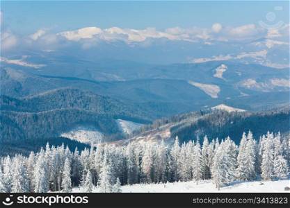 Morning winter calm mountain landscape with beautiful fir trees on slope (Kukol Mount, Carpathian Mountains, Ukraine)