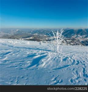 Morning winter calm mountain landscape with beautiful frosting trees and snowdrifts on slope (Carpathian Mountains, Ukraine)