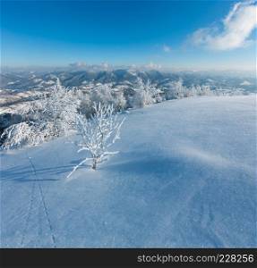 Morning winter calm mountain landscape with beautiful frosting trees and snowdrifts on slope  Carpathian Mountains, Ukraine 