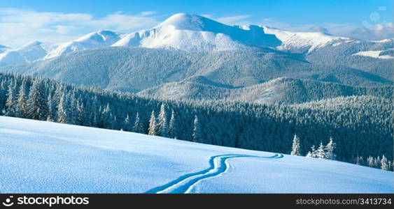 Morning winter calm mountain landscape with coniferous forest on slope (Carpathian Mountains, Ukraine). Four shots stitch image.