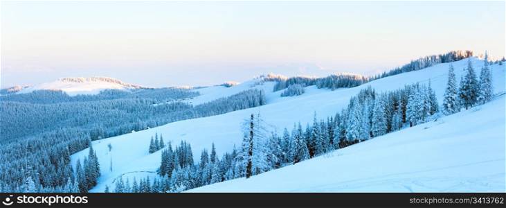 Morning winter calm mountain landscape with fir forest and sheds group on slope (Carpathian Mountains, Ukraine). Two shots stitch image.