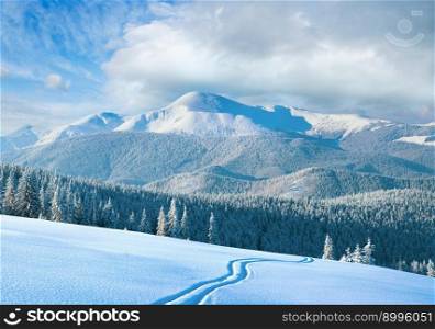 Morning winter calm mountain landscape with ski track and coniferous forest on slope  Goverla view - the highest mount in Ukrainian Carpathian . Four shots stitch image.