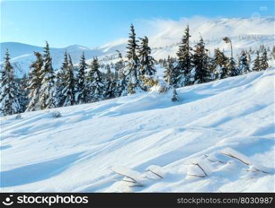 Morning winter mountain landscape with clouds and fir trees on slope (Carpathian).