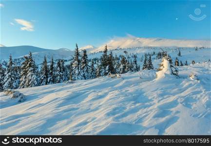 Morning winter mountain landscape with clouds and moon in blue sky and fir trees on slope (Carpathian).